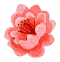 Dải ảnh mẫu khung Vườn hoa